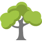 El Dorado Hills Tree Removal