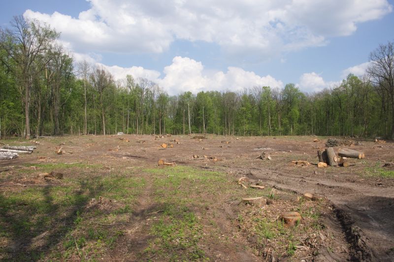 Post-Removal Land Restoration